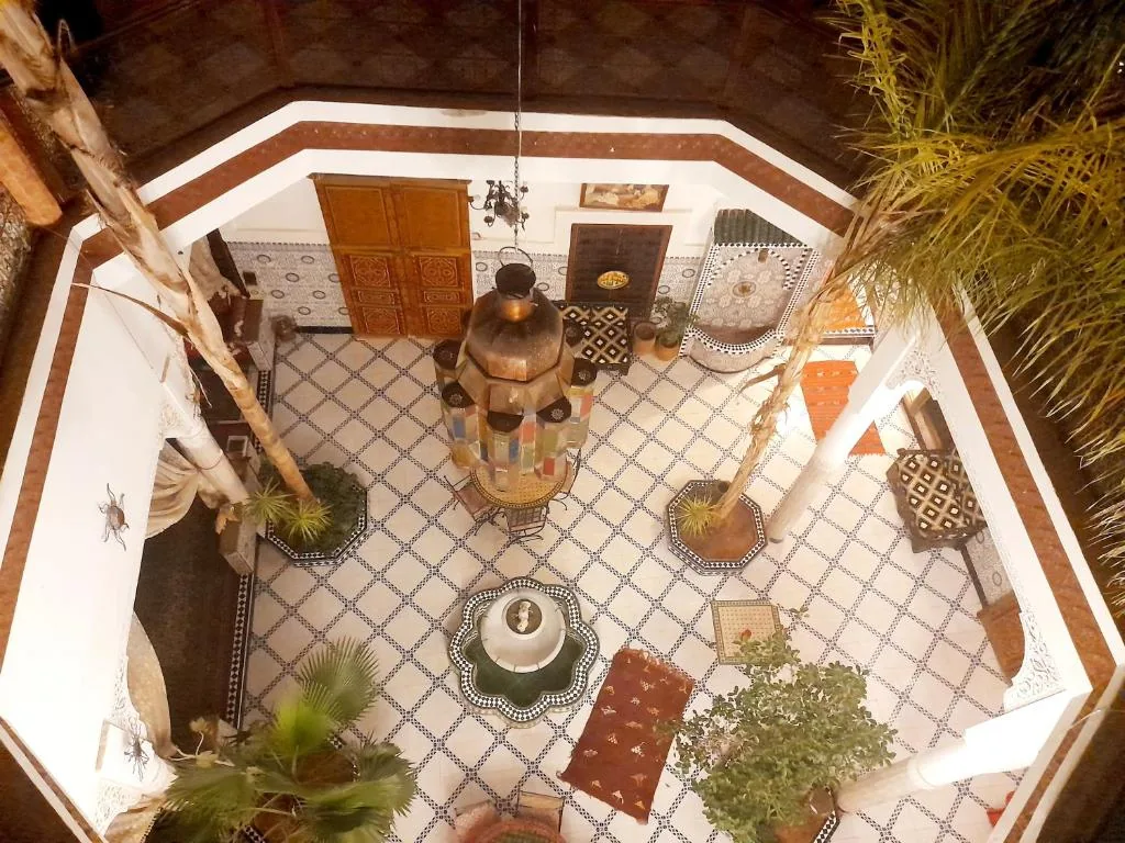 Riad Chennaoui — photo 7